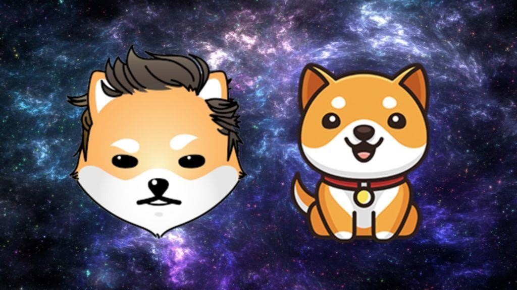 По мере того, как DOGE, рынки SHIB падают, цены на Baby Doge Coin и Dogelon Mars стремительно растут