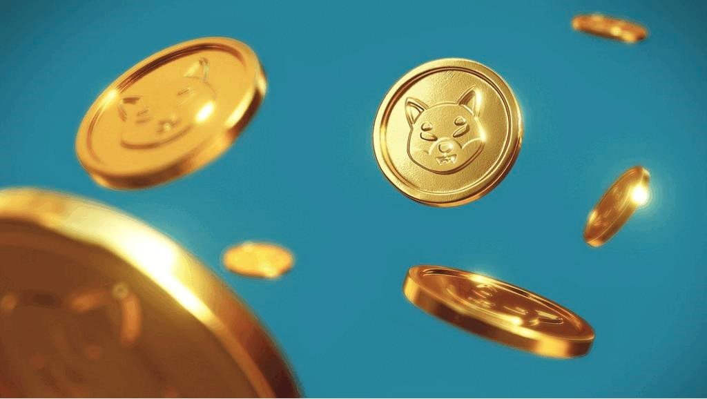 Станут ли ваши криптоинвестиции безумными с Shiba INU, Dogecoin или Evergrow Coin в 2022 году?