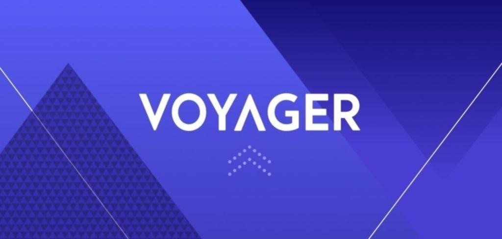 Цифровые файлы Voyager для банкротства